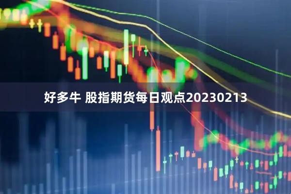 好多牛 股指期货每日观点20230213