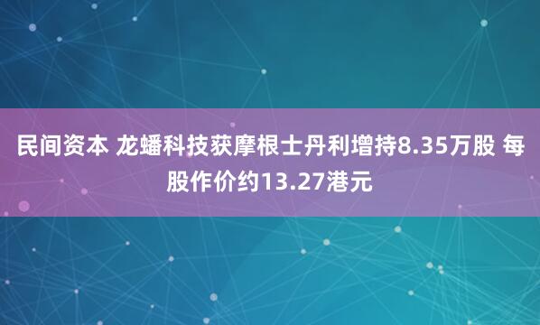 民间资本 龙蟠科技获摩根士丹利增持8.35万股 每股作价约13.27港元