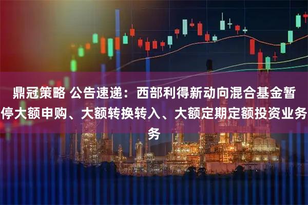 鼎冠策略 公告速递：西部利得新动向混合基金暂停大额申购、大额转换转入、大额定期定额投资业务